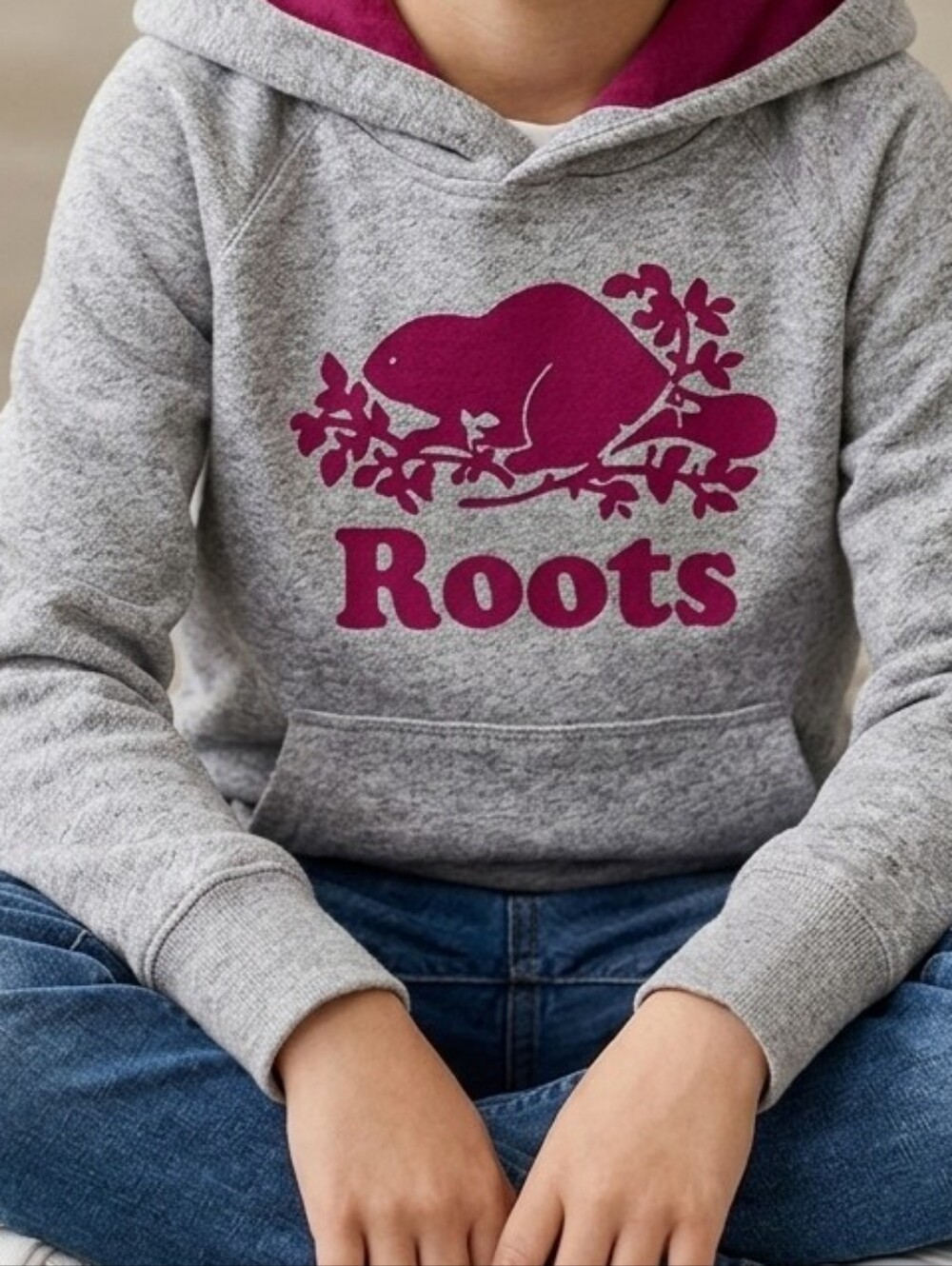 Roots Gray and Pink Hoodie